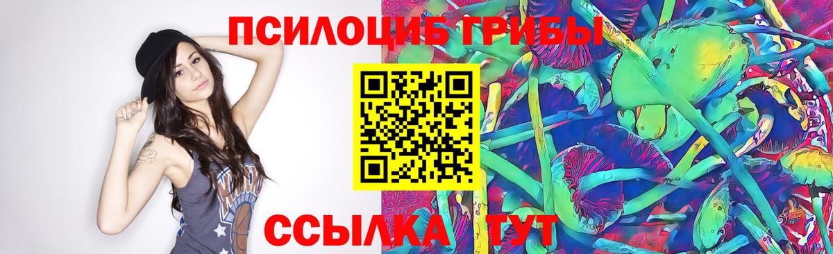 Сертолово  Галлюциногенные грибы прущие грибы  Вход с VPN 
