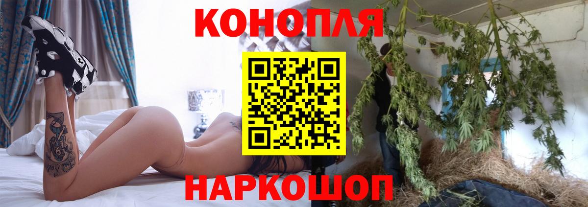 Каннабис SATIVA & INDICA Сертолово